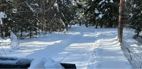 DAY TRAIL PASS: SINGLE RATE