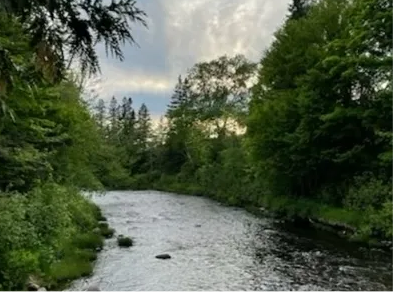 FLY FISHING 3-HOUR SLOT