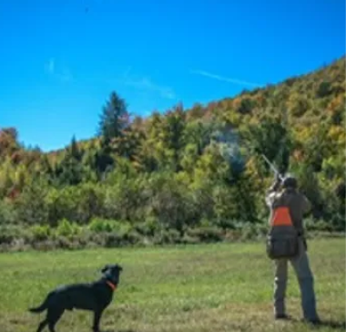 PHEASANT TOWER SHOOTING