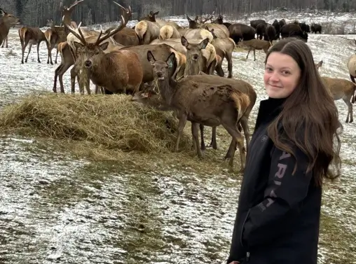 Person standing near deer in a snowy field at RiverVail Ranch, showcasing wildlife and outdoor recreation opportunities.