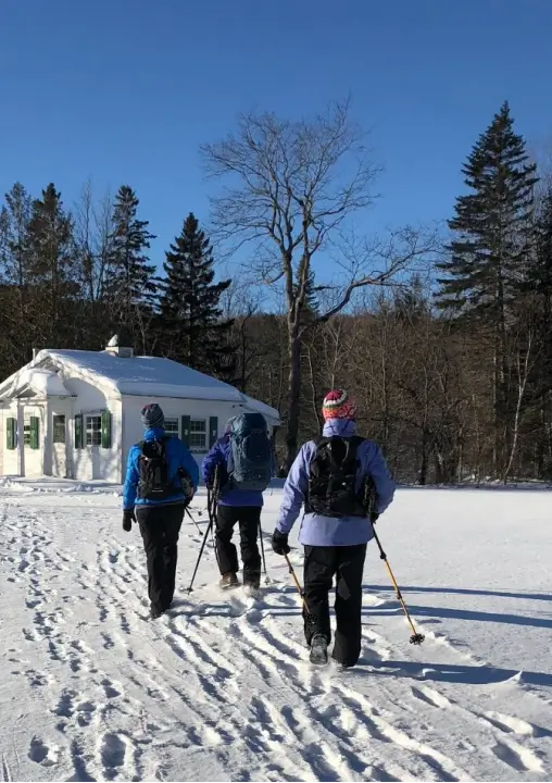 Group of three individuals snowshoeing through a snowy landscape towards a white cabin, surrounded by tall trees and clear blue skies, emphasizing winter outdoor activities at RiverVail Ranch.
