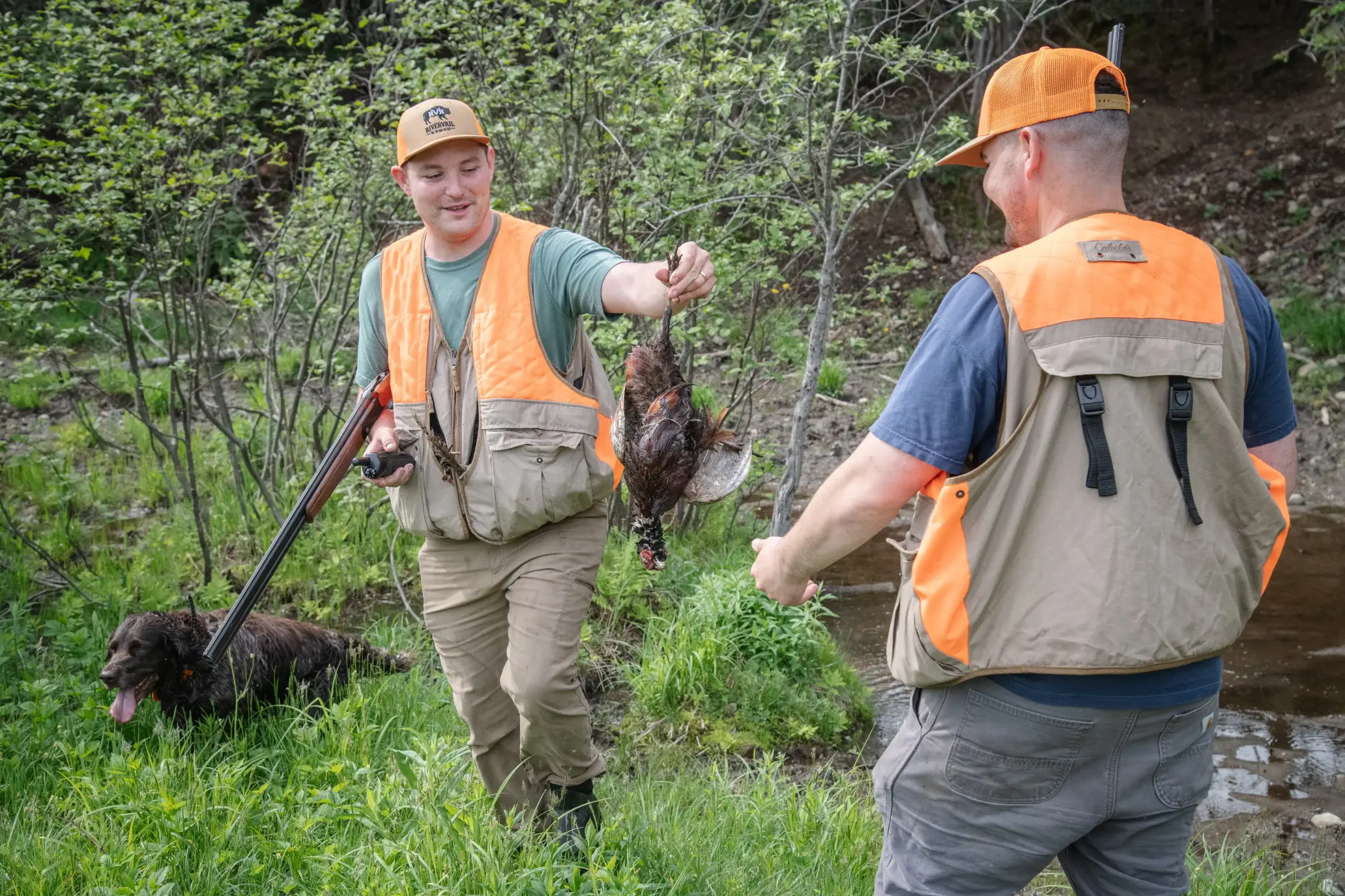 Book Your Group Pheasant Hunt or Tower Shoot Before Opening Day